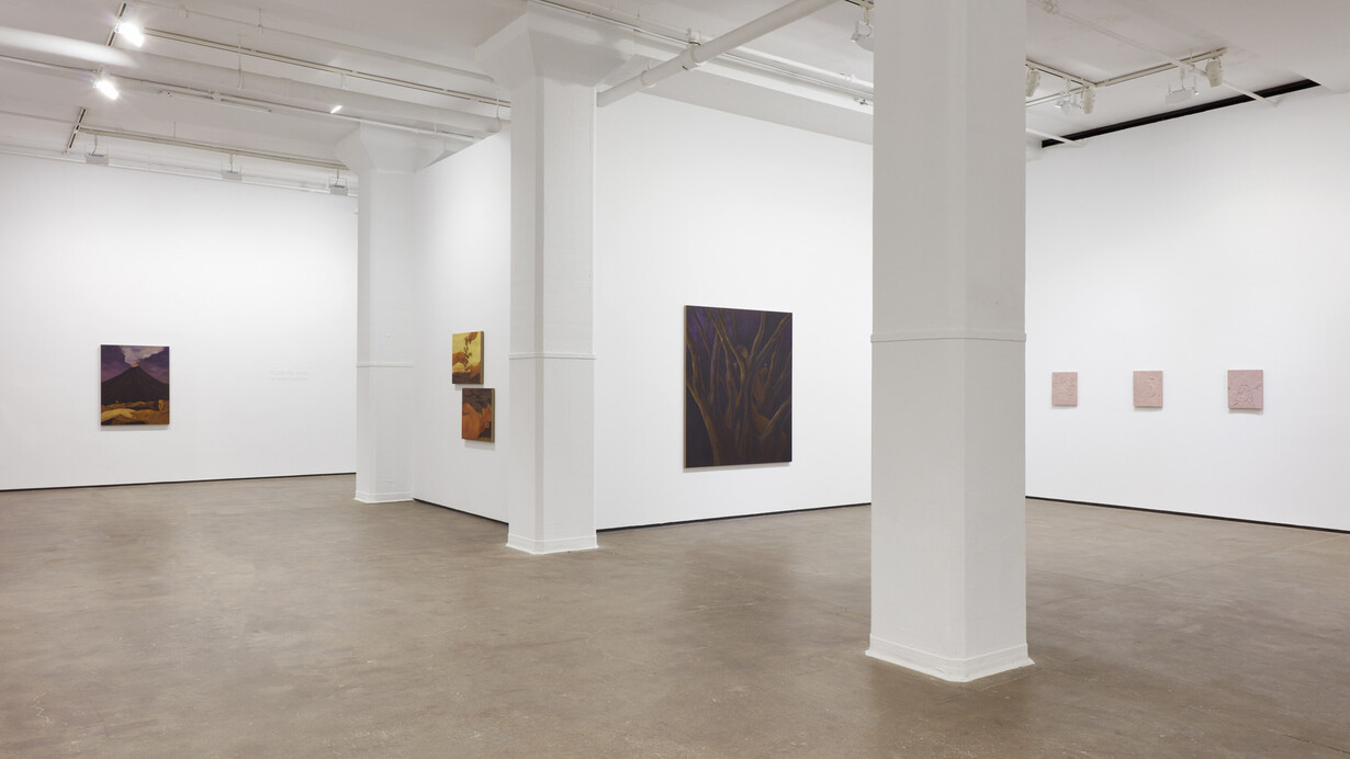 Hilda Palafox, De tierra y susurros, exhibition view. Courtesy of Sean Kelly Gallery