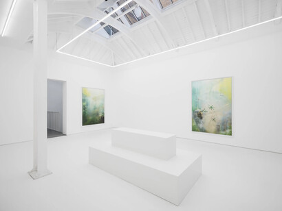 Noémie Goudal, And yet it still moves, exhibition view. Courtesy of Edel Assanti