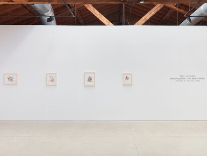 Debra Cartwright, Wandering womb: From myth to market, exhibition view. Courtesy of Anthony Gallery