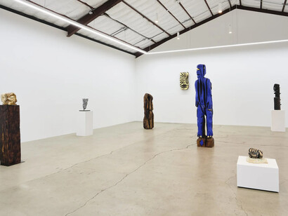 Ryan Schneider, Earth canal, exhibition view. Courtesy of The Pit