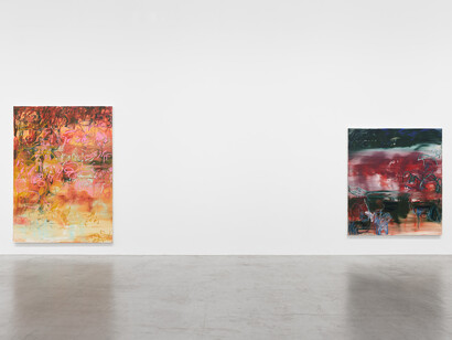 Janaina Tschäpe, A gush of wind (Atemraum), exhibition view. Courtesy of Galerie Max Hetzler