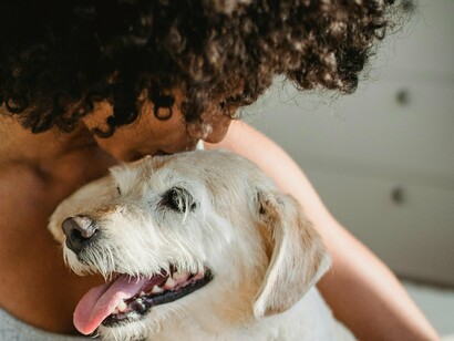 Sempre gostei de cães. Daqueles que vemos nos filmes a correr em câmara lenta, a saltar para os braços da família, e que parecem perceber tudo mesmo quando não dizemos nada. Sempre quis ter um