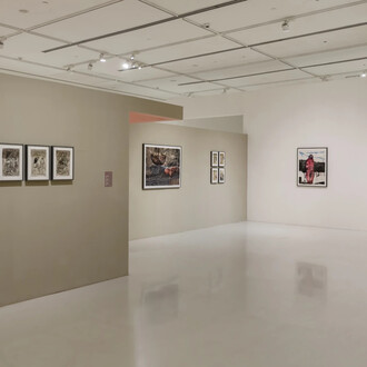 Arindam Chatterjee, অ ব মা ন ব (avamānava), exhibition view. Courtesy of Emami Art