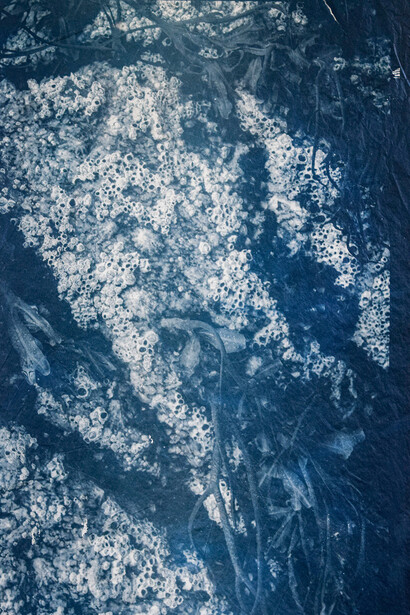 Florencia Brea. Courtesy of Jorge Mara - La Ruche