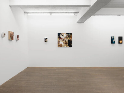 France Bizot, Natures molles, vue de l'exposition. Avec l'aimable autorisation de la galerie Backslash