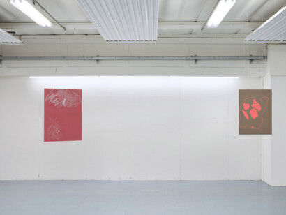 Andrew Iacobucci, Lucky days never come loudly, exhibition view. Courtesy of COLLI