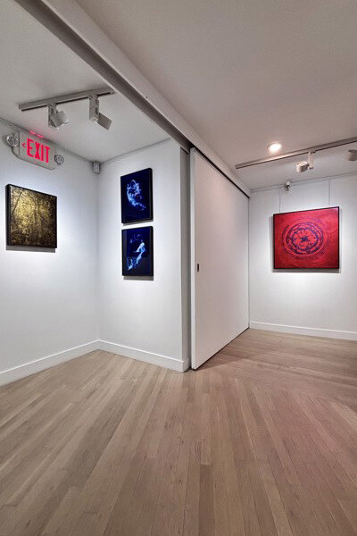 Ulf Saupe, Neo botanica II, exhibition view. Courtesy of Space Gallery