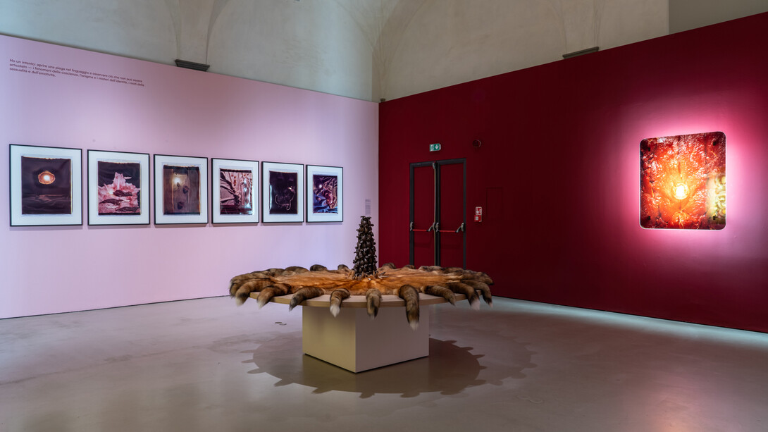 Helen Chadwick, Life pleasures, veduta della mostra. Cortesia del Museo Novecento