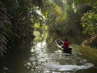 Venditore fluviale, Amazzonia