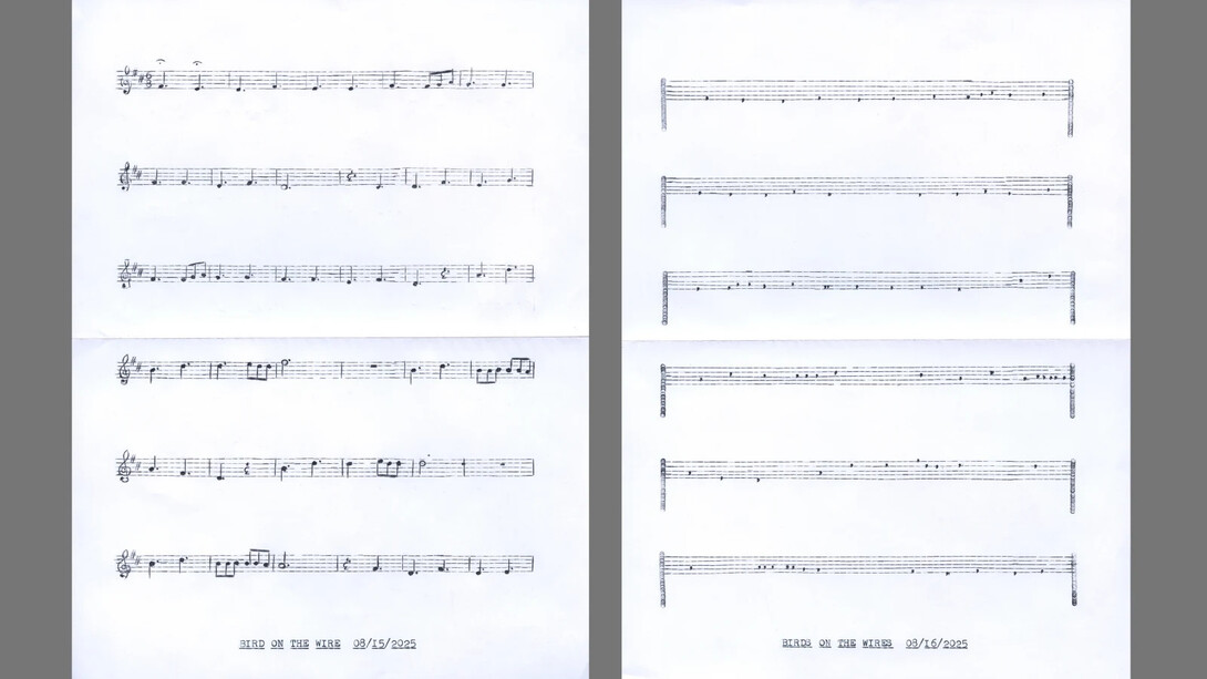 Lenka Clayton, Birds on the wire in the series "Typewriter drawings", 2025. Courtesy of Catharine Clark Gallery