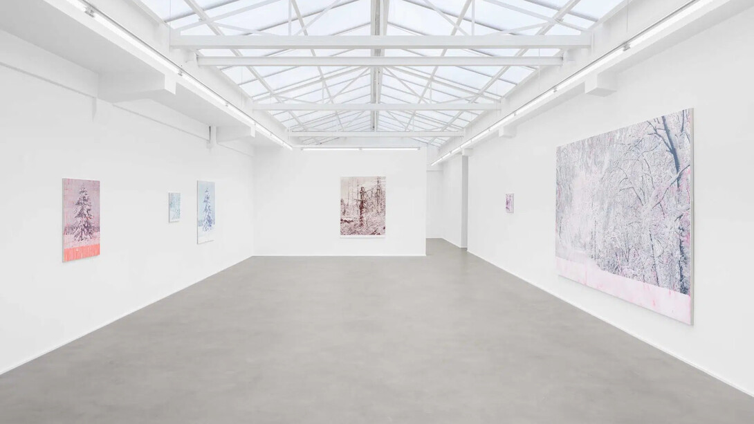 Marcel Berlanger, La disparition des limicoles, exhibition view. Courtesy of rodolphe janssen gallery