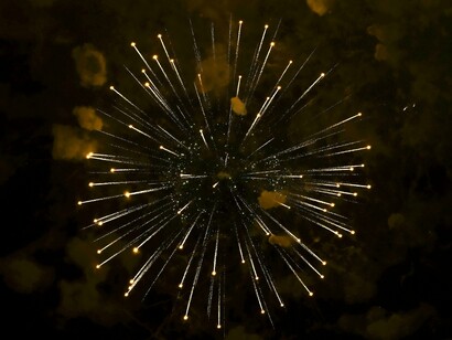 Mas, embora a resposta pareça simples — para mudar um hábito antigo, basta criar um novo — o processo é bem mais complexo do que isso. O psicólogo clínico Dr. John Norcross, pesquisador renomado em resoluções de Ano Novo, conduziu, nos anos 1980, um estudo que acompanhou as tentativas de automudança de 200 pessoas ao longo de dois anos