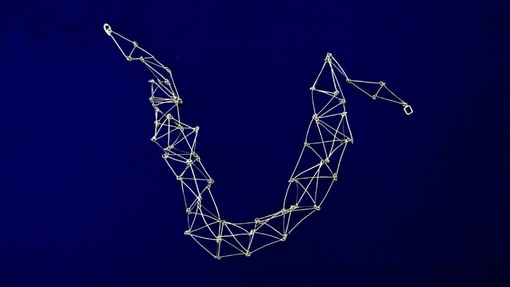 Flor Areinamo, Un bosque de neuronas. Cortesía de ABRA