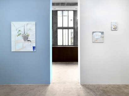 Mai Takeshita, Living landscapes, exhibition view. Courtesy of Alison Bradley Projects
