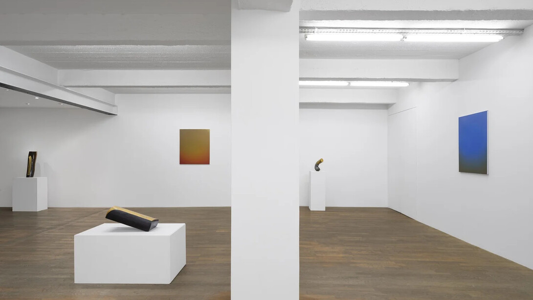 Emmanuelle Leblanc and Hervé Wahlen, Alchemies, exhibition view. Courtesy of Backslash Gallery. Photo by Hafid Lhachmi - ADAGP Paris