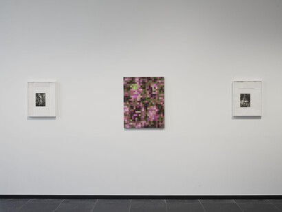 Marc De Blieck, Point de voir, vue d'exposition. Avec l'aimable autorisation du S.M.A.K.