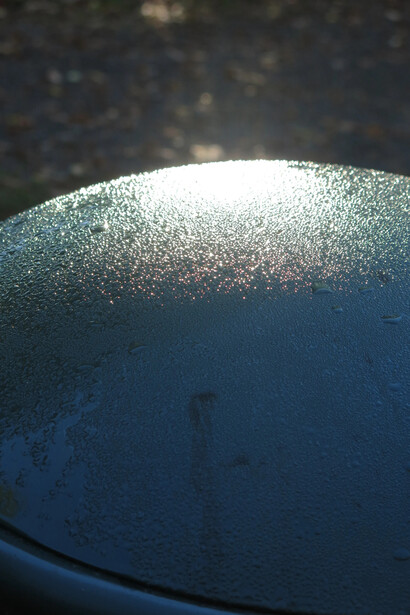 Johan De Wilde, History 585 - Pi - Guller Nalaten 12 (detail), 2025. Courtesy of Kristof De Clercq Gallery