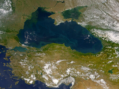 A striking satellite view showing the Danube River as it empties into the Black Sea, highlighting the river's vast delta and sediment dispersal, 2003