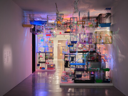 Various artists, Primavera 2025: young australian artists, exhibition view. Courtesy of MCA
