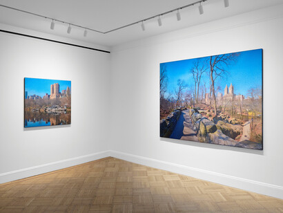 Daniel Ambrosi, Central Park, exhibition view. Courtesy of Robilant+Voena Gallery
