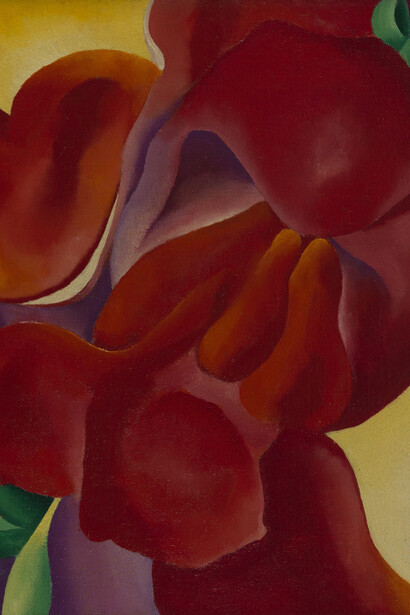 Georgia O’Keefe, Red canna, 1923. Courtesy of Philadelphia Museum of Art