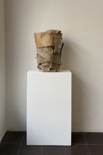 Irene Schubiger, some of us, exhibition view. Courtesy of Annex14
