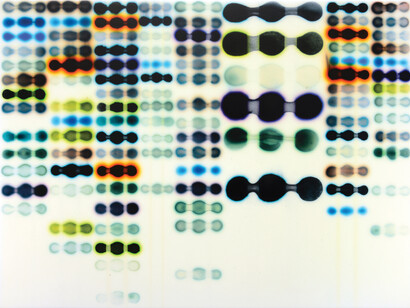 Jaq Chartier, Spring Infusion (S. Black) , 2014, acrylic, stains & spray paint on wood panel, 20.3 x 61 cm,