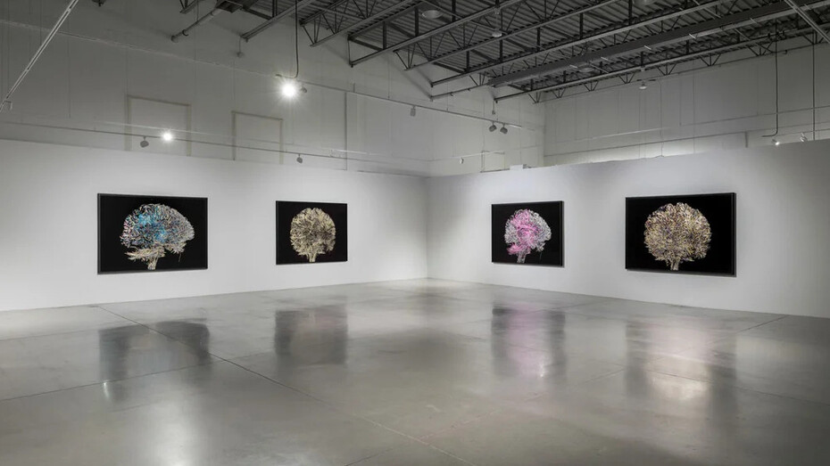 Geneviève Cadieux, Wild is the wind, exhibition view. Courtesy of Blouin Division