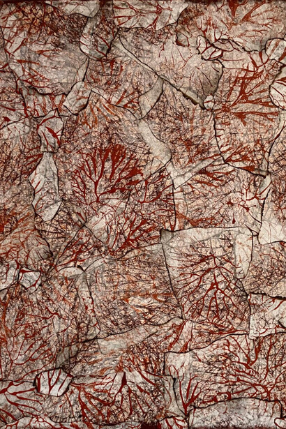 Samanta Malavasi, Burn 20 (detail). Courtesy of Luisa Catucci Gallery