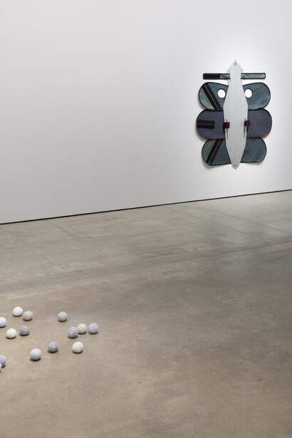 Inari Sandell, Total control, exhibition view. Courtesy of HAM