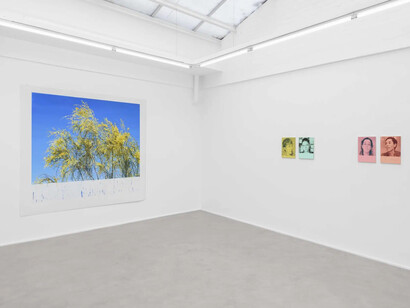 Marcel Berlanger, La disparition des limicoles, exhibition view. Courtesy of rodolphe janssen gallery