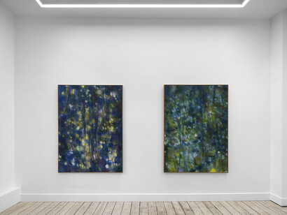 Carole Ebtinger, Sentir - de quelle couleur cela peut-il être ? Vue de l'exposition. Avec l'aimable autorisation de la galerie Nino Mier