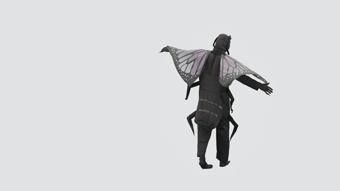 Malte Uchtmann, Ant*hology: de/bugging the cultural history of ants (video still), 2025. Courtesy of Staatsgalerie Stuttgart