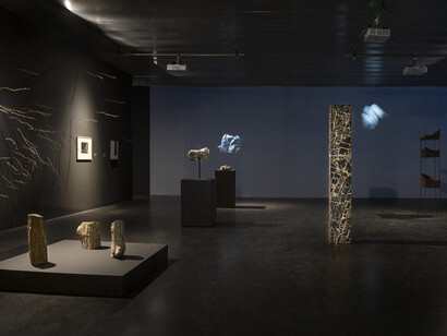 The world without us, exhibition view. Courtesy of Lentos Kunstmuseum
