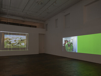 Nashashibi/Skaer, Pygmalion margaret ursus uan, exhibition view. Courtesy of Peter Freeman, Inc.