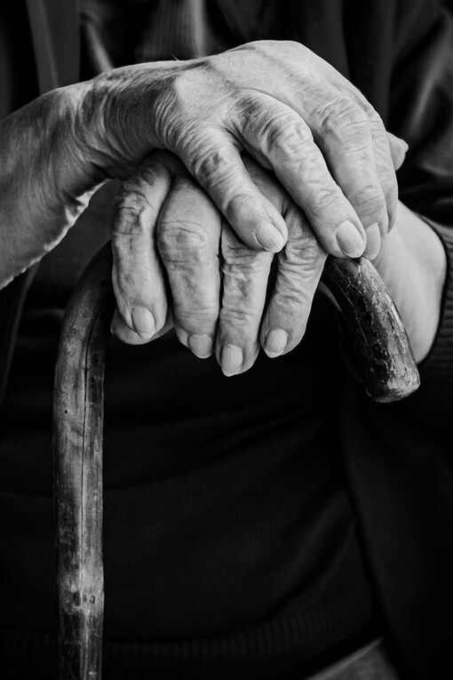 Tal vez lo que nos salve sea estar tan atentos al suelo como al vuelo… para aprender a reconocer y agradecer aquello que, desde siempre, nos sostiene