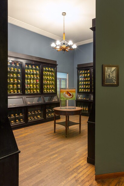 Piotr Uklański, Faux amis, veduta della mostra. Cortesia della Pinacoteca Agnelli