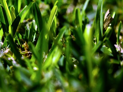 Junto com Juan Pablo Vojvoda veio Psicólogo Esportivo (algo que não é comum em muitos treinadores brasileiros. O Psicólogo Esportivo é basicamente um psicólogo focado em performance esportiva), veio um assistente e um preparador físico