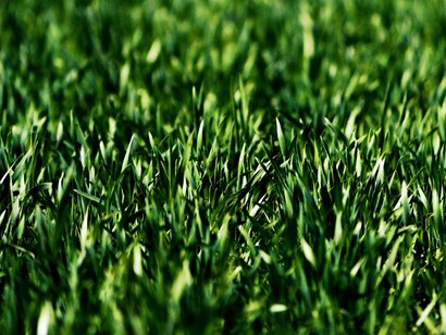 Essa mistura entre quem já está no clube e quem entrou no clube. Irá ajudar o Santos e muito. Uma vez que não se cria um hiato, a comissão técnica anterior e antiga. Sendo mais fácil a adaptação do novo técnico. Esse cenário ajudará muito o Vojvoda na busca de resultados