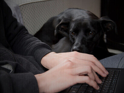 Un año entero para hacer lo que más me gusta, un regalo único. La lotería en mis manos, el gordo de Navidad, la fecundidad en la punta de mis dedos sobre el teclado, una ilusión, un objetivo