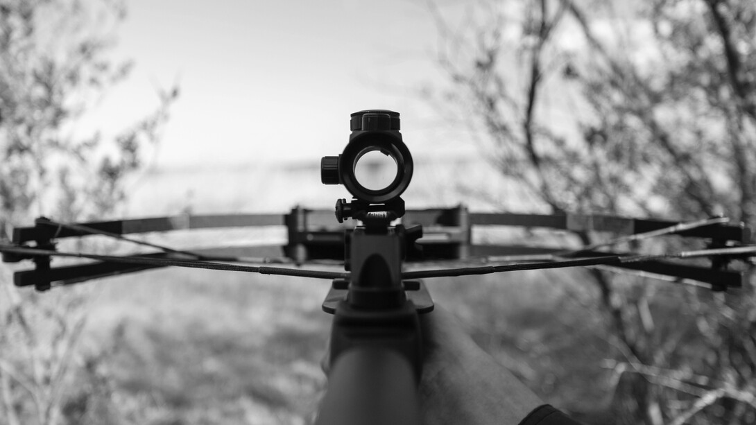 Mira de flecha de caça. Salomão entrava, involuntariamente, num grupo de caça-furtiva, sediado na África do Sul, dentro do qual, com as idas e voltas a Maputo, África do Sul e Magude, vivia um triângulo amoroso mal construído com Elisa e Jane, até que lhe é apresentada a Luísa, que se torna sua esposa e ajuda a concentrar-se