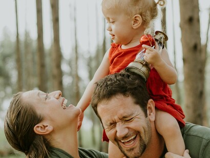 Todos os argumentos aqui comentados, perpassam para simples exemplo de explodir uma planta de um imóvel, no jargão da arquitetura e da engenharia. Figurativamente, podemos comparar a planta de uma casa bonita, sustentável, como se fosse a família. Enquanto coesa, ergue-se a construção que permanece forte, e bela projetada com amor