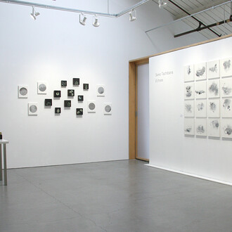 Seiko Tachibana, Echoes, exhibition view. Courtesy of Themes+Projects