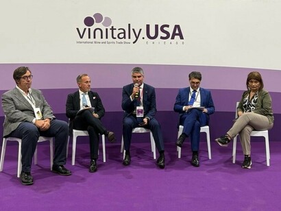 Vinitaly USA 2025 at Navy Pier, Chicago, highlighted Italy’s winemaking excellence through tastings, masterclasses, and lively discussions