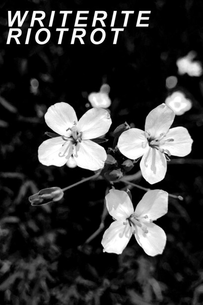 Ilke Cop, Garden of earthly delights. Courtesy of Tatjana Pieters Gallery