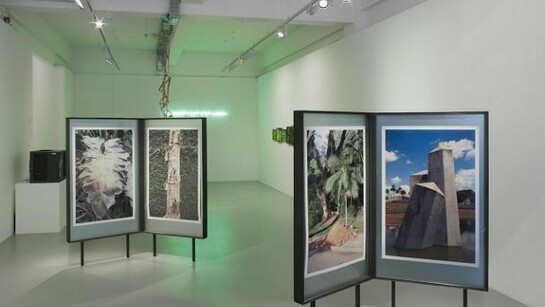 Installation view of TopoDendroPhilia