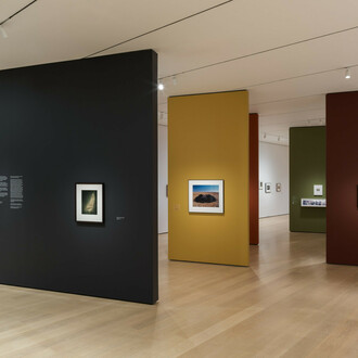 Time travelers: photographs from the Gayle Greenhill collection, exhibition view. Courtesy of MoMA