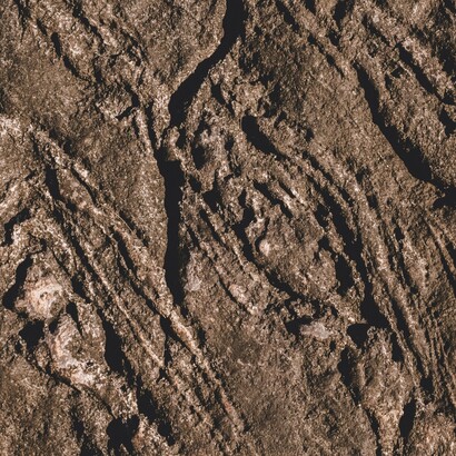 La poesia non risolve i problemi, ma insegna a guardarli con occhi nuovi e più gentili