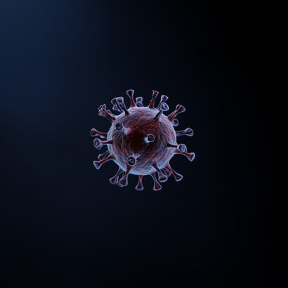 Das SARS-CoV-2-Virus verändert die Zusammensetzung und Vielfalt der Darmmikrobiota und führt zu einem Ungleichgewicht und einer Beeinträchtigung der Gesundheit