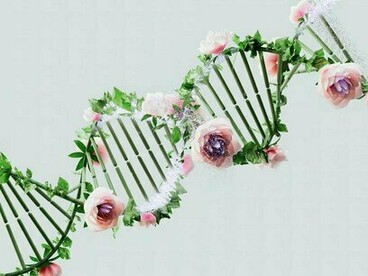 Além do câncer, testes genéticos podem identificar predisposições para doenças como a hemocromatose hereditária — que causa sobrecarga de ferro no organismo — ou doenças neurodegenerativas, como a de Huntington, que tem padrão de herança autossômico dominante